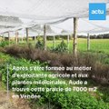 Aude a changé de vie pour devenir productrice de plantes aromatiques