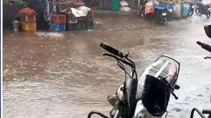 खरगोन: बेमौसम बारिश से सोयाबीन और कपास की फसल को नुकसान, किसानों की बढ़ी मुश्किले