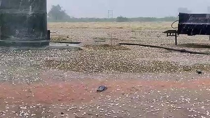 Video: पोकरण में 9, नाचना में 30 और सांकड़ा में 42 एमएम बारिश