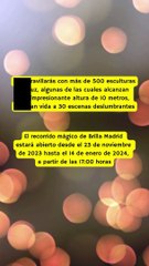 ✅ Un Zoo Iluminado en Madrid: Brilla Madrid Zoo en el Parque Juan Carlos I 