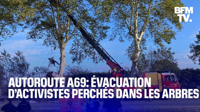 TANGUY DE BFM - Autoroute A69: les forces de l’ordre procèdent à l’évacuation d’activistes perchés dans les arbres entre Castres et Toulouse