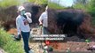 Madres Buscadoras localizan restos humanos en un horno clandestino en Tlaquepaque