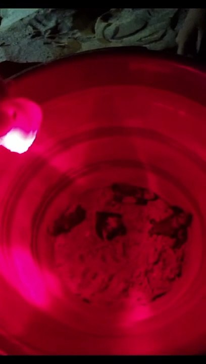 Decine di tartarughe marine nate in spiaggia a Isola delle Femmine