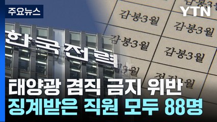 몰래 태양광 사업하다 징계받은 한전 직원 88명 / YTN