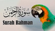 Beautiful Recitation of Surah Rahman | @islamic knowledge