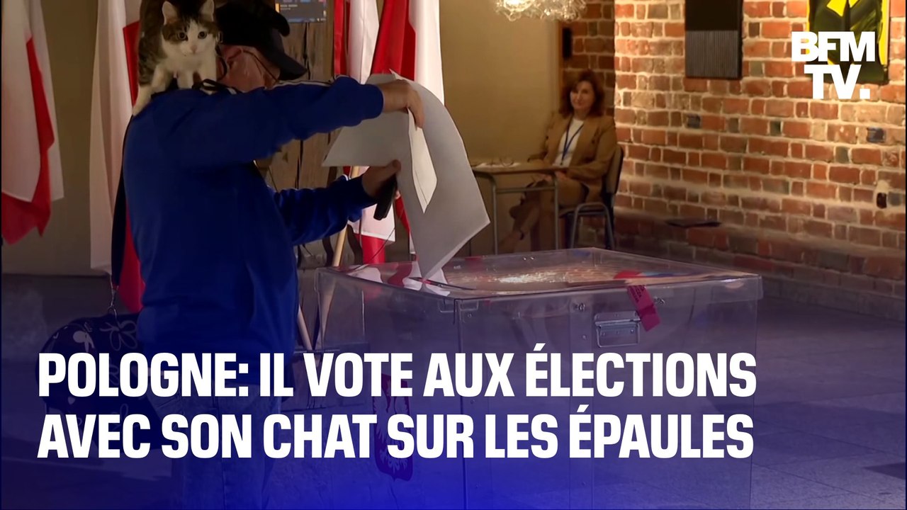Pologne: il vote aux élections législatives avec son chat sur les épaules