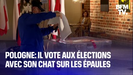 Pologne: il vote aux élections législatives avec son chat sur les épaules