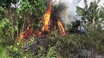 Bombeiros combatem incêndio em vegetação no Parque Verde