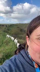 Train of Dalmations suit la randonnée