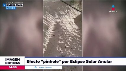 El eclipse solar anular pudo observarse reflejado en la sombra de los árboles y palmeras