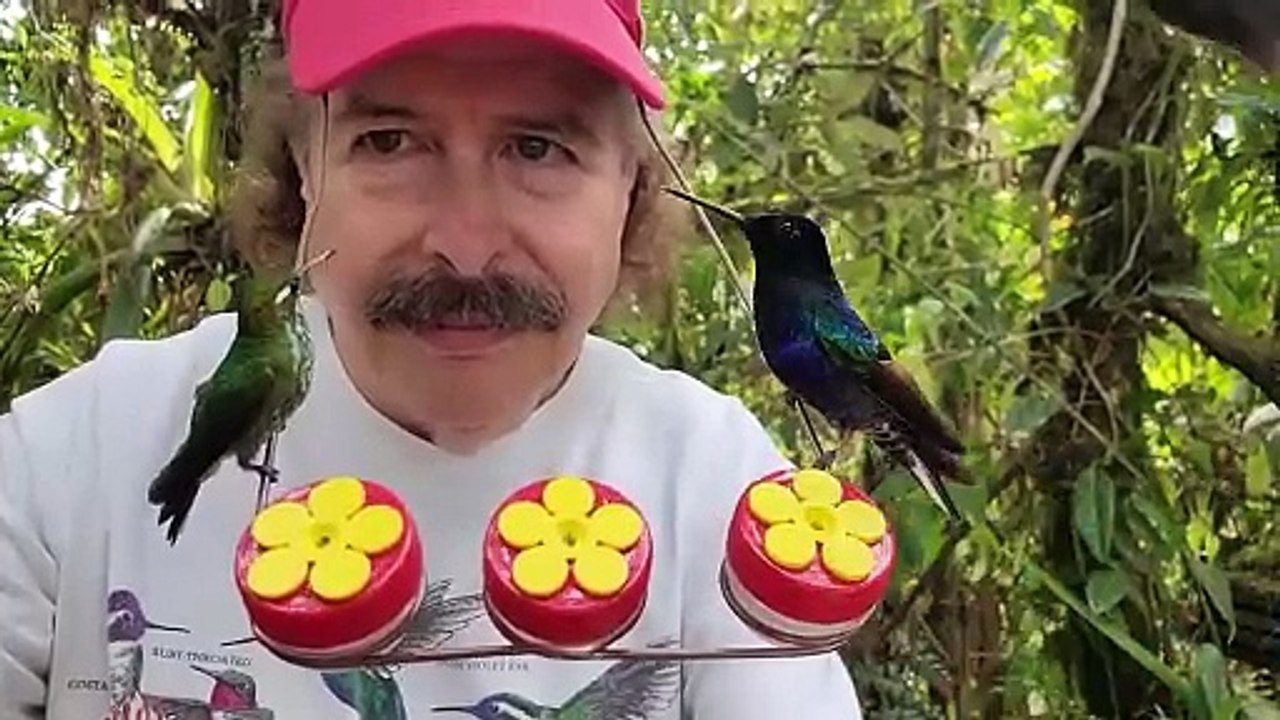 Mangeoire à chapeau pour colibris