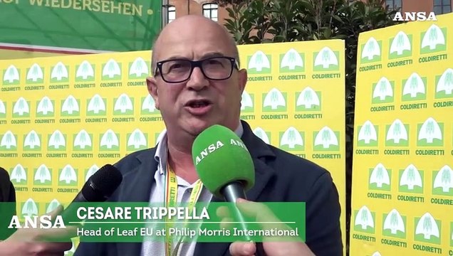 Filiera tabacco, Coldiretti e Philip Morris rinnovano l'accordo