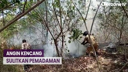 27 Hektare Hutan Lindung Egon Ilin Medo di Sikka Terbakar, Petugas Kesulitan Padamkan Api
