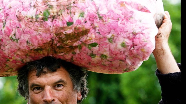 Why Louis Vuitton and Tom Ford spend up to $15,000 for one kilo of Bulgarian rose oil