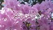 Hazrat Essa as our Iblees ka waqiya | Islamic Stories | Islamic World