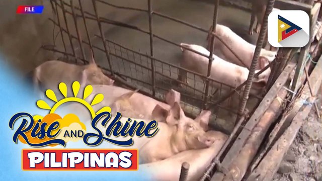 P1.5B realigned budget ng DA, malaking tulong sa pagtugon sa ASF