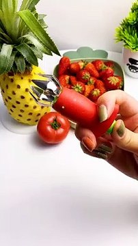 Video Konten Terlaris (1734)