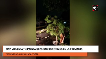Una violenta tormenta ocasionó destrozos en la provincia