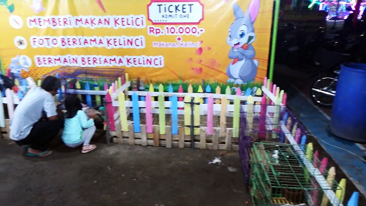 feeding rabbit at the night market