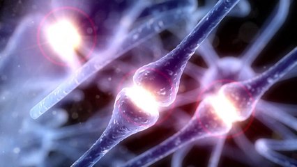 La commotion cérébrale