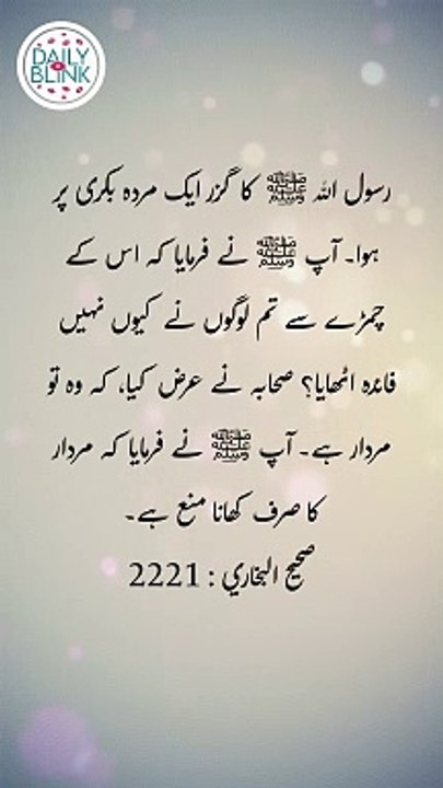 Daily Hadees | Hadees Sharif | Sahih Bukhari 2221 || Daily Blink #shorts #viral #sahihbukhari