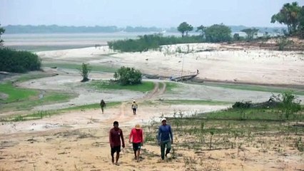 Amazon River hits lowest level in over a century