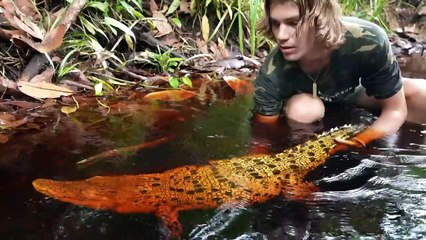 Worlds Biggest KING COBRA in JUNGLE of BORNEO-! Pt.2