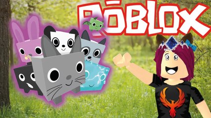 Hayvan Çiftliğimiz Açıldı | Roblox Pet Ranch Simulator