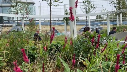 Park zamiast parkingu