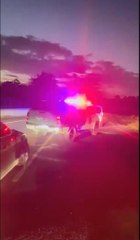 SARIYER'DE BAHİSLE KÖPEK DÖVÜŞTÜRENLERE BASKIN: 25 GÖZALTI