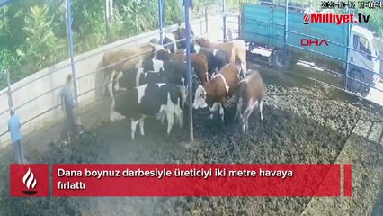 Yediği darbeyle iki metre havaya fırladı!
