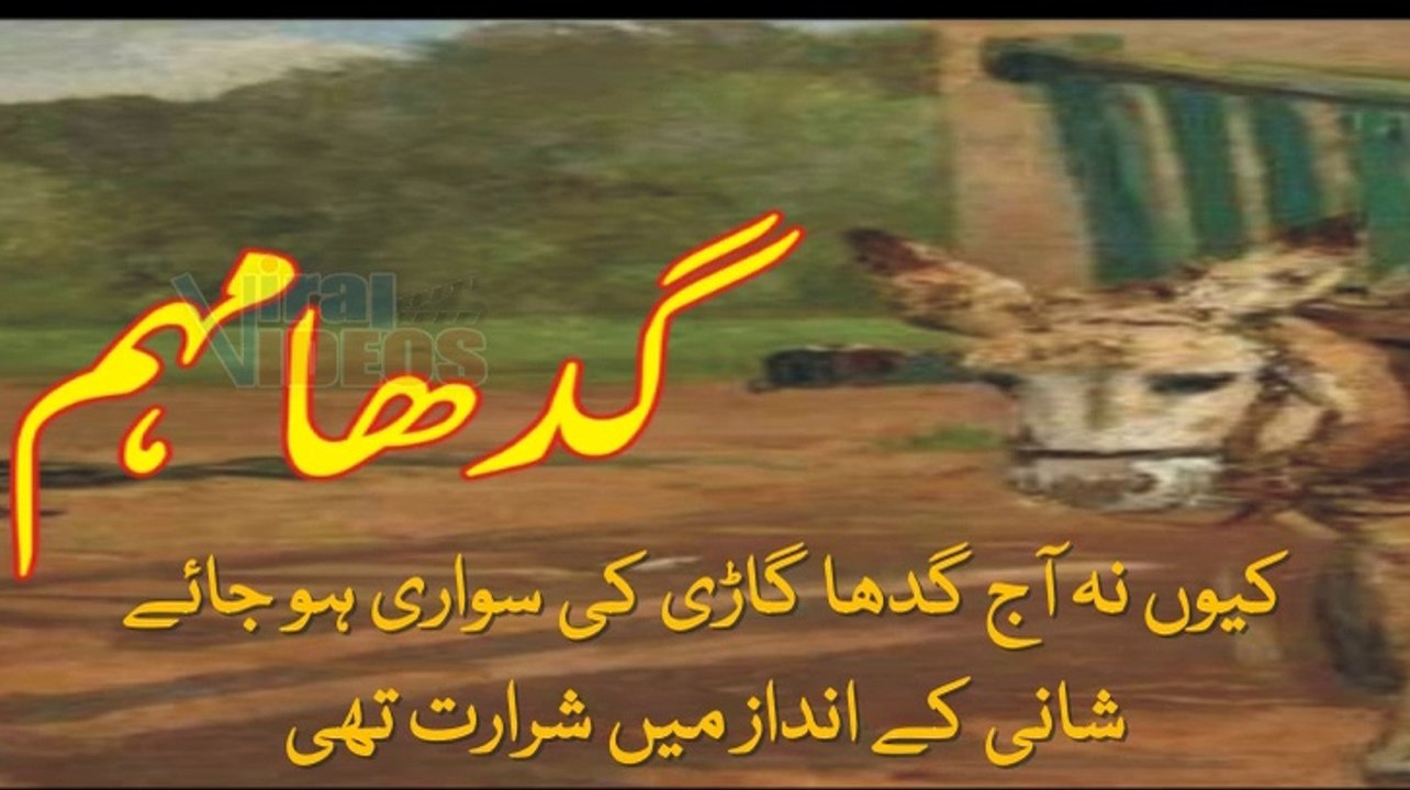 Donkey Campaign || Gadha Mohimؔ گدھا مہم Funny...