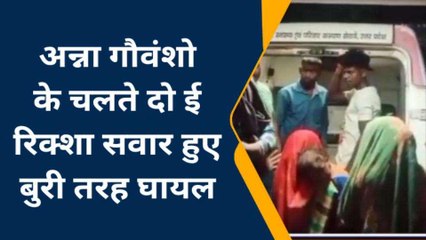 चित्रकूट: अन्ना गोवंश को बचाने के चलते रिक्शा पलटा,घायलों के खून से सड़क हुई लाल