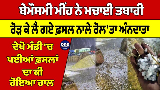 ਬੇਮੌਸਮੀ ਮੀਂਹ ਨੇ ਮਚਾਈ ਤਬਾਹੀ, ਰੋੜ ਕੇ ਲੈ ਗਏ ਫ਼ਸਲ ਨਾਲੇ ਰੋਲ'ਤਾ ਅੰਨਦਾਤਾ | Farmer News |OneIndia Punjabi
