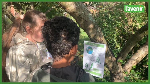 Légumes à l'école St-Joseph de Braine-l'Alleud
