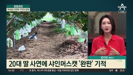 부모님 불의의 교통사고…여대생 사연에 기적의 완판