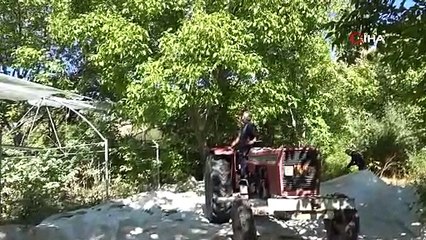 Bitlis'te hasadı başladı, dünyaca ünlü: Kilosu 150 TL!