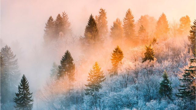 Schnee in Sachsen: Historischer Wintereinbruch in Deutschland?