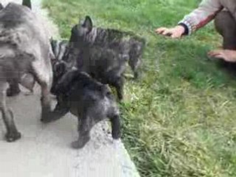 Vidéo bb à 6sem et demi 001