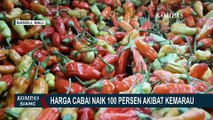 Akibat Kemarau Panjang, Harga Cabai Naik 100 Persen! Kini Dibanderol dari Harga Rp 50.000!