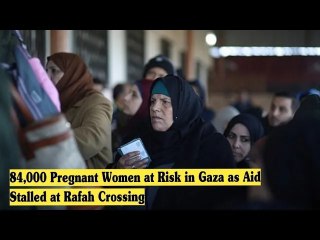 84,000 Pregnant Women at Risk in Gaza as Aid Stalled at Rafah Crossing