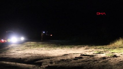 Piknik yapan aile, 4 ayıyı ağaç dallarıyla uzaklaştırdı