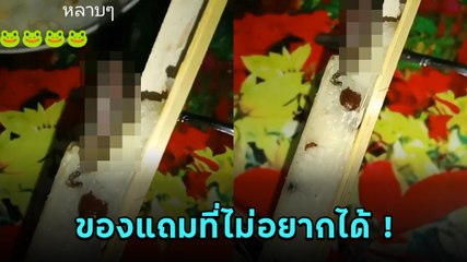 แทบอ้วก ! ซื้อข้าวหลามงานบุญ อยากจะกินให้อร่อย พอแกะเท่านั้นแหละ โอ้..แม่เจ้า