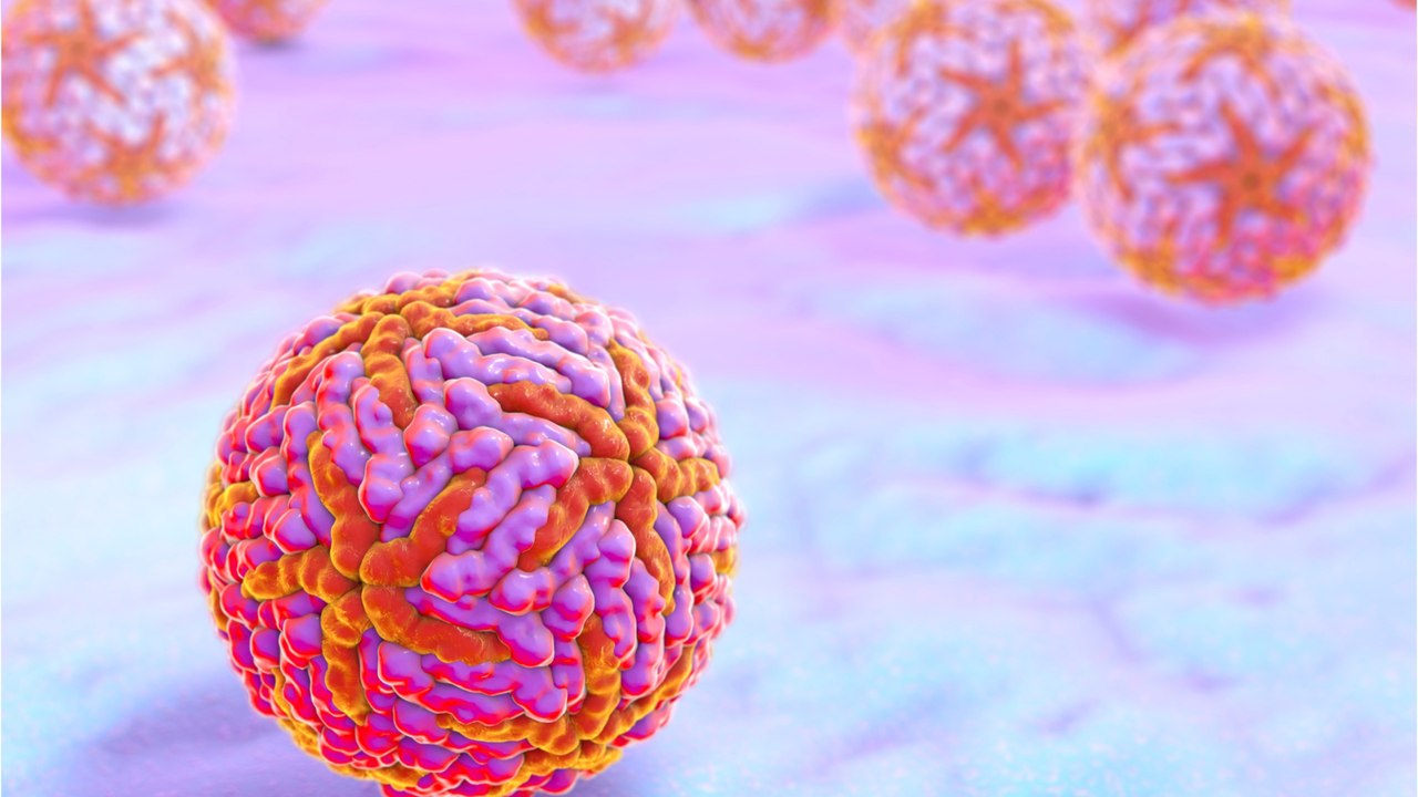 Tigermücke wütet in Deutschland: Wie kann man sich wirksam vor dem Tier schützen?