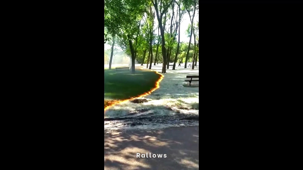 one in a billion moments in nature in the world #2