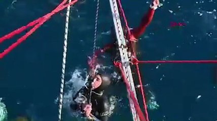 Şahika Ercümen'den bir rekor daha! Su altı pozları olay oldu
