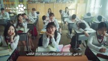 المسلسل الكوري #AGoodDayToBeADog مترجم للعربية ومجانًا