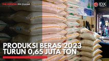 Produksi Beras 2023 Turun 0,65 Juta Ton