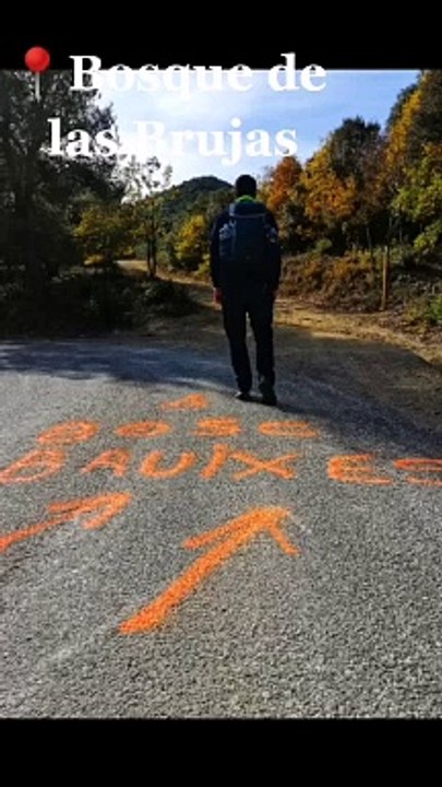 El Bosque de las Brujas de Argentera
