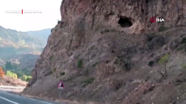 Yaban keçileri cep telefonuyla görüntülendi